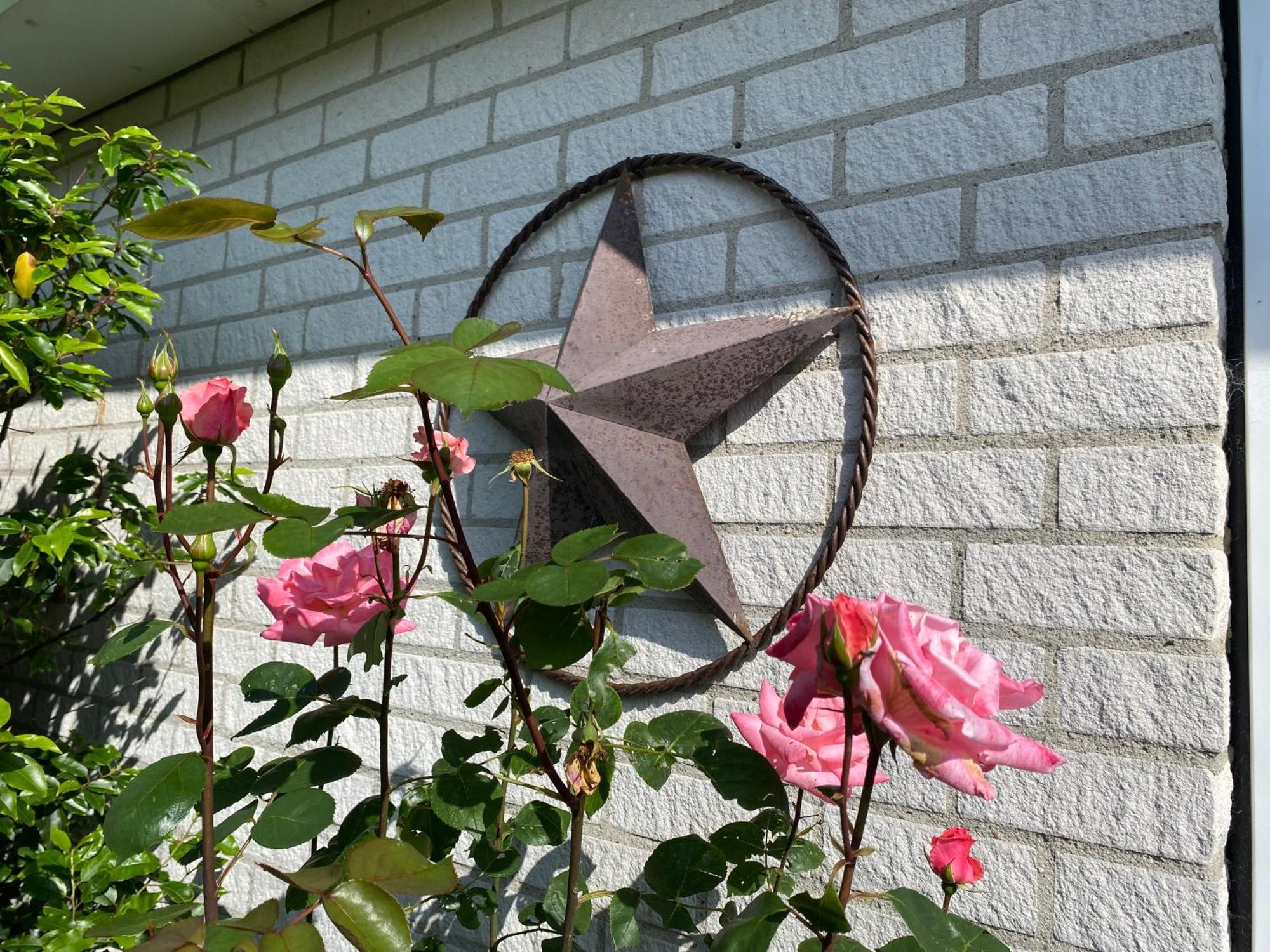 Lonestar Appartement 巴勒哈姆斯泰德 外观 照片